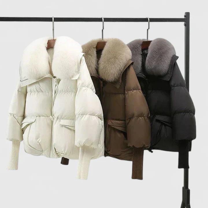 Zya Comfortable Jacket